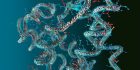 Protein Post-Translational Modification (PPTM) Cluster