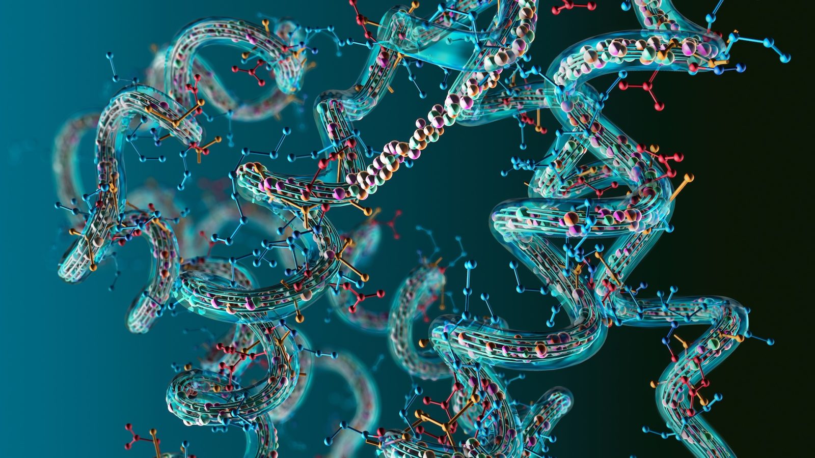 Illustration of chain of amino acid or bio molecules called proteins