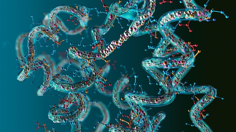 Illustration of chain of amino acid or bio molecules called proteins